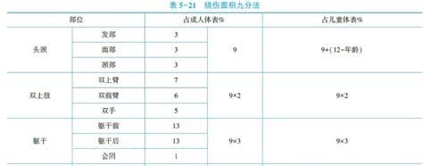 烧伤面积如何计算