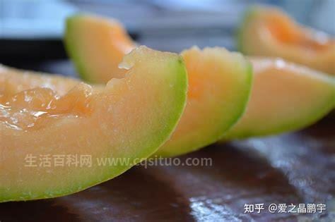 在怀孕期间能吃哈密瓜吗
