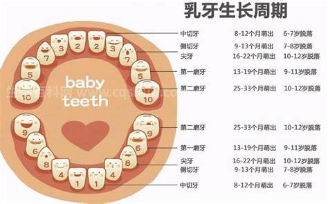 宝宝长牙期间有哪些表现