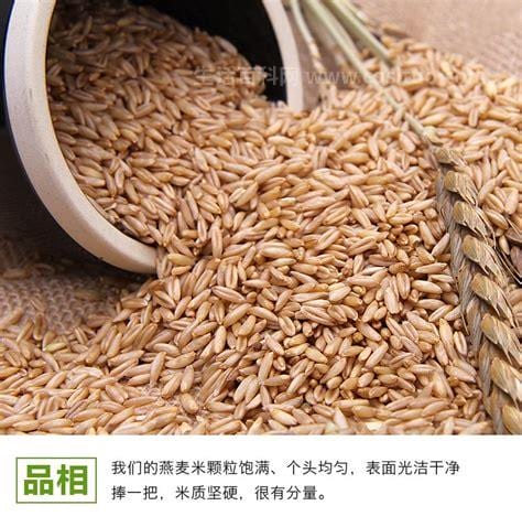 燕麦的功效与作用是什么？