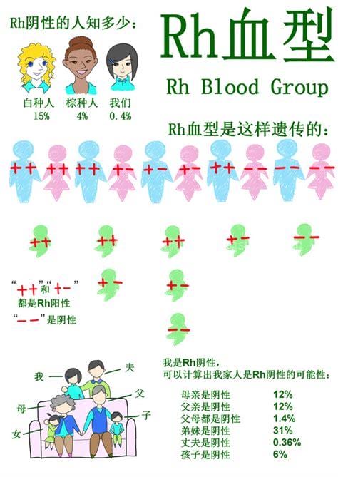 rh血型阳性什么意思