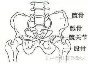 女性胯骨疼痛的原因