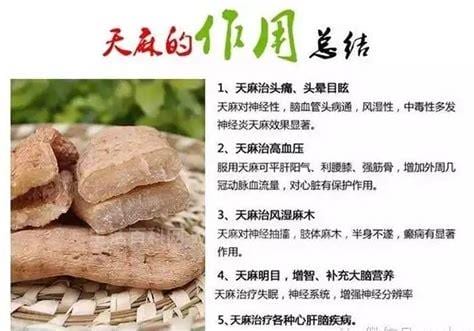 天麻的功效与作用禁忌