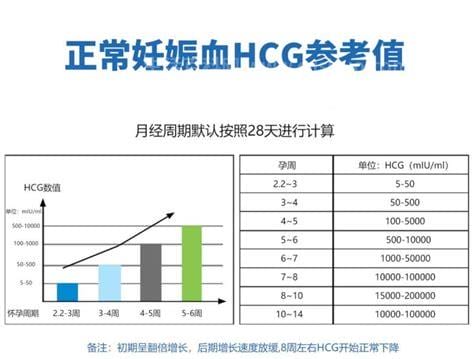 hcg值多少是怀孕