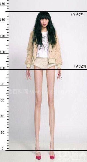 腿比身子长多少算正常