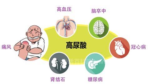 血清尿酸高会引起什么疾病