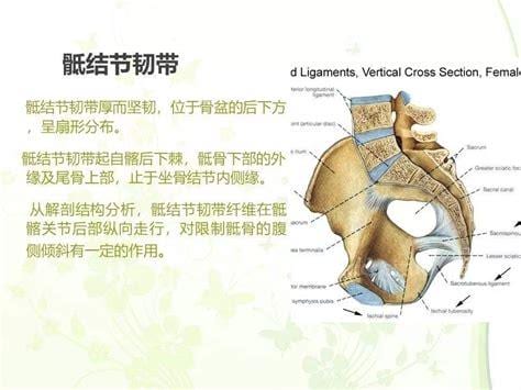 什么叫做漏斗骨盆