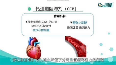 钙离子拮抗剂是什么