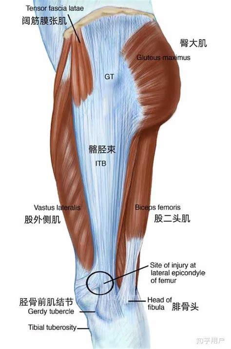 髂胫束疼痛是怎么引起的