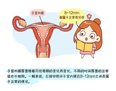 子宫内膜正常厚度是多少