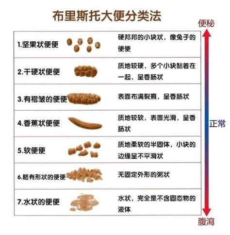 大便长期不成形是什么原因