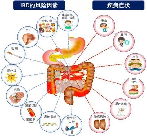 肠道有问题有哪些症状