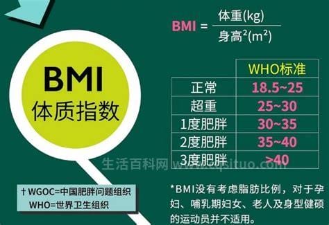 bmi指数正常范围