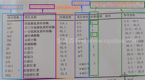 肝功能一共多少个项目