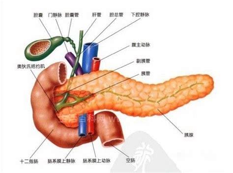 胰腺炎有哪些症状