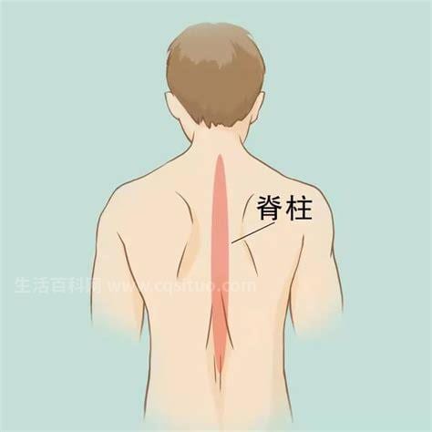 后背脊柱中间疼痛是什么原因