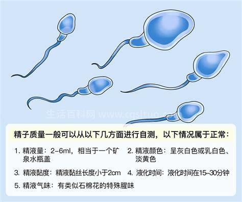 怎么看精子质量