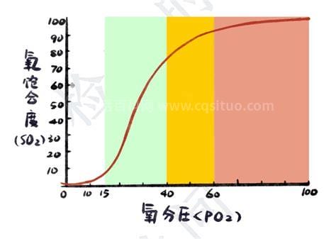 氧分压正常值