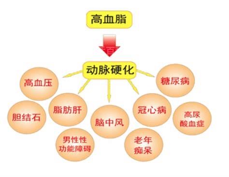 胆固醇高的原因和危害