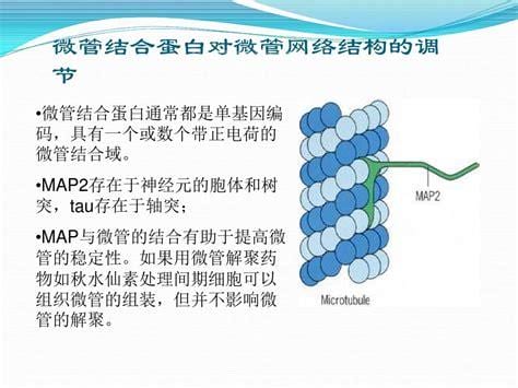 什么是微管可视人流