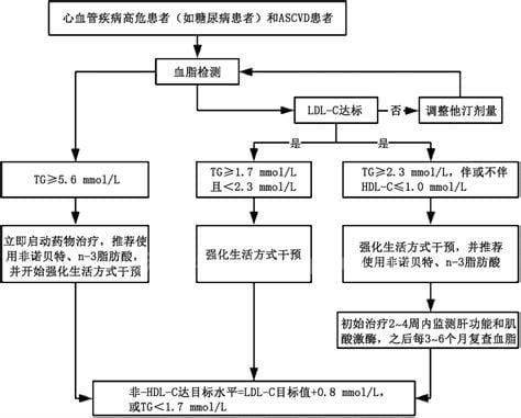 甘油三酯高的原因