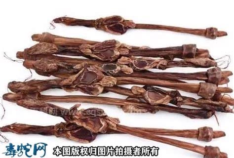 鹿鞭的功效与作用