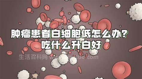 白细胞低怎么食补