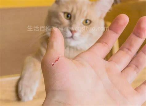 被猫抓了一下轻微破皮要打针吗 被猫抓伤出血的处理
