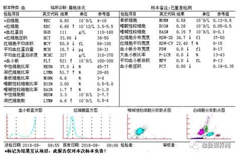 地中海贫血血常规表现是什么