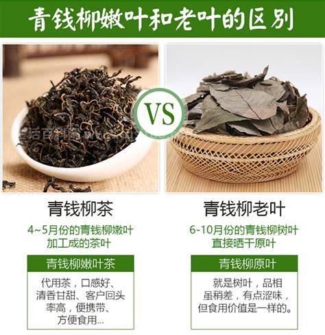 青钱柳茶的功效与作用