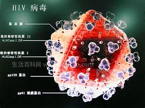 hiv病毒是什么