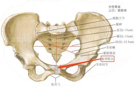 耻骨疼到什么程度不能顺产