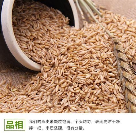 燕麦米的功效与作用