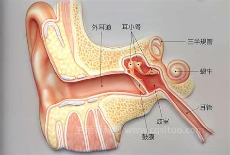 中耳炎会自愈吗