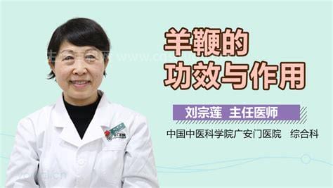 羊鞭的功效与作用吃法