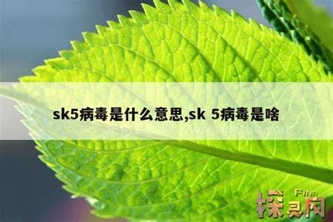 sk5病毒是什么