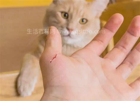 被小猫抓伤出血要打针吗