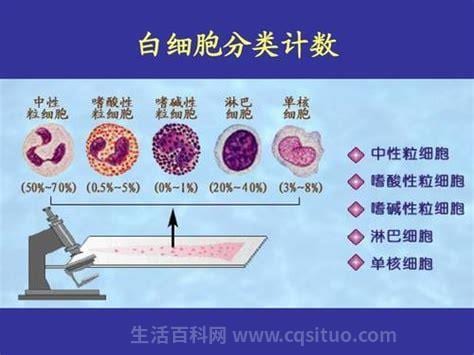 白细胞计数偏高是什么原因