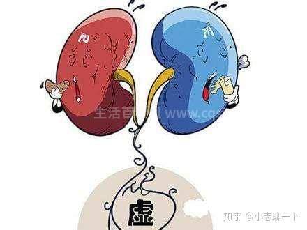 肾阴虚是什么原因引起的