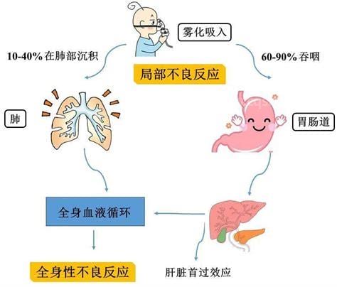 激素的副作用