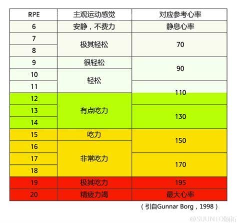 心率正常值范围