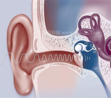 耳朵里面噔噔噔的响怎么治疗
