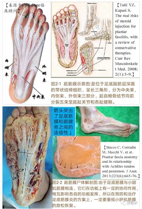 小脚趾疼是什么原因