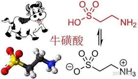 牛磺酸的功效和作用