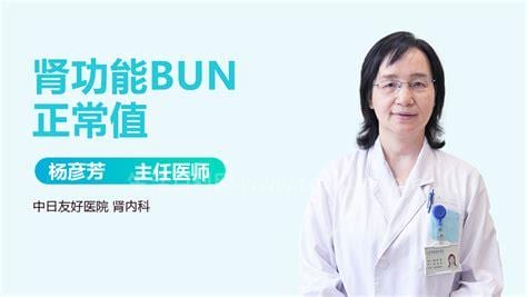 BUN是什么意思