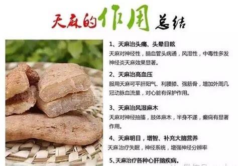 天麻泡酒的功效与作用