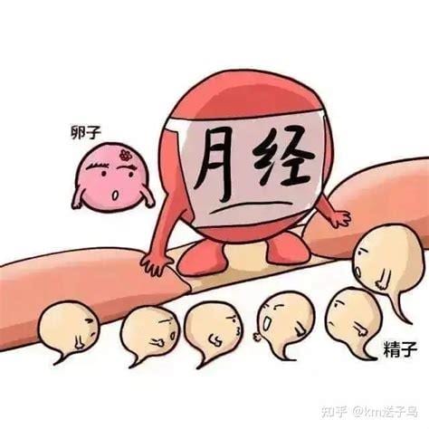 不来月经会排卵吗