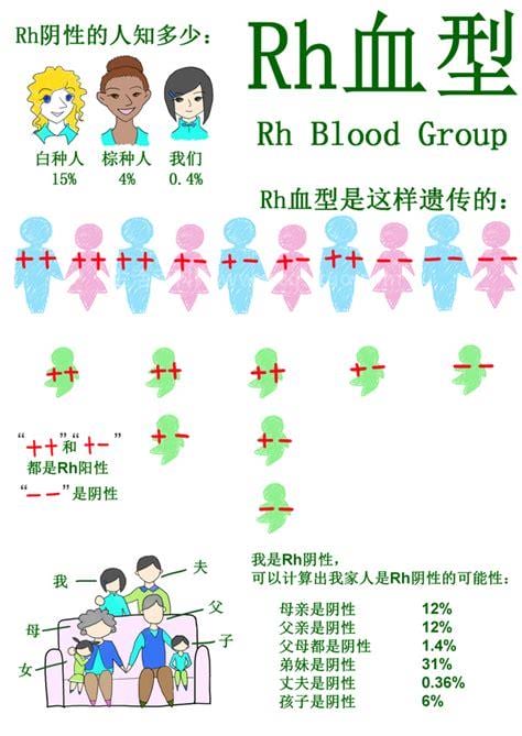 rh阴性血是什么血型