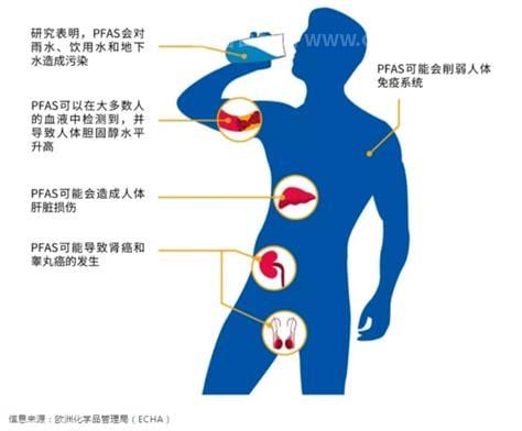 富马酸对人体的危害