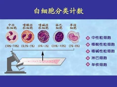 白细胞计数偏高是什么原因